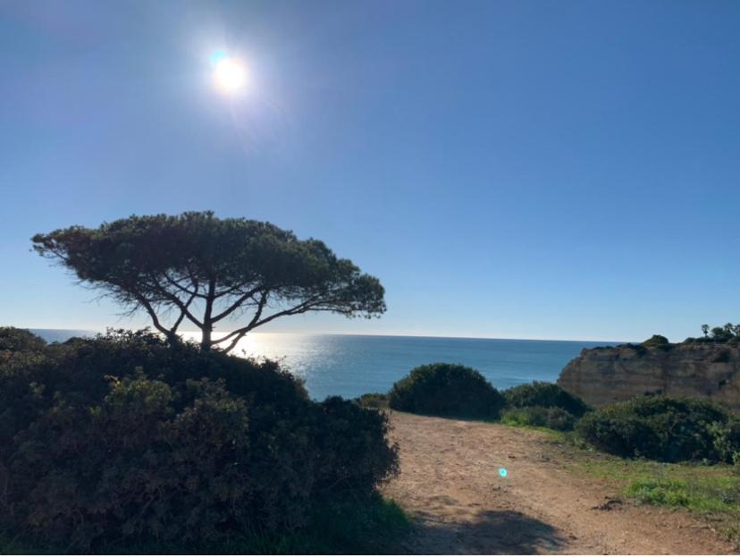 Bed and Breakfast A Beira Do Vale, Carvoeiro Карвоейру Екстер'єр фото